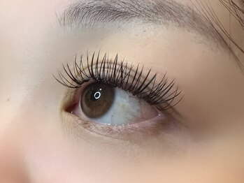 フリー#240(Free#240)/ダブルフラット200本