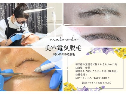 マロウド(malowdo)の写真