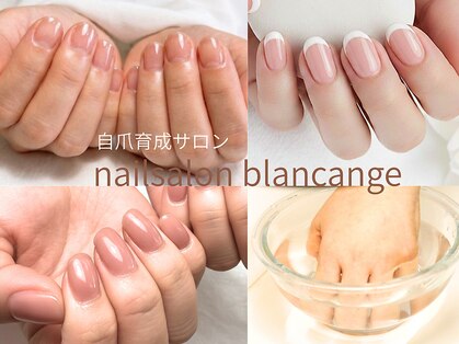 ネイルサロン ブランアンジュ(Blanc Ange)の写真