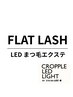 【エクステ施術の種類は当日相談で】160本～180本 目力アップコース ¥9700～