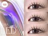最新もち◎LEDマツエク　100本 [藤沢駅/藤沢/マツエク/LED]