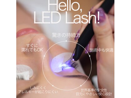 アーニランカ(aani lanka)の写真