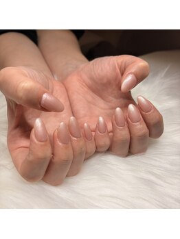 イーミリー(E.milii)/