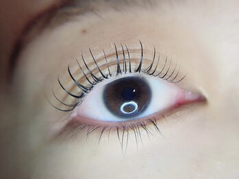 アイラッシュサロンラコタ 池袋東口店(RACOTA)/ラッシュリフト