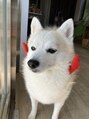 ウィ 高崎(Oui)&nbsp;愛犬れおくんです＾＾