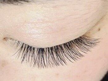 ビアンカ 美浜店(Bianca)/ボリュームラッシュ80束