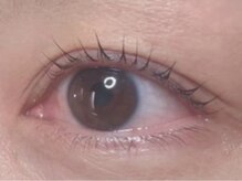 ウルカ アイラッシュ(uruka EYELASH)/ラッシュリフト