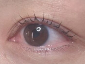 ウルカ アイラッシュ(uruka EYELASH)/ラッシュリフト