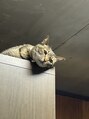 アイム 西宮北口店(i’m)&nbsp;猫も飼ってます。猫好きさんぜひお待ちしております！
