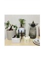 ケアハウスビューティー 戸塚(CARE HOUSE beauty)&nbsp;お部屋の緑を増やし中♪育てやすい植物、是非教えてください♪