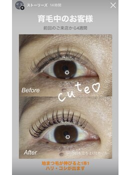 エーラッシュ(A-Lash)/いく毛でお目元の印象UP!!