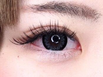 エムサロン 伊勢崎(emusalon)/4Dボリュームラッシュ*100束