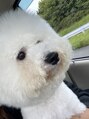 アンダーバーホワイトプラス 南海難波店(_WHITE+) 愛犬☆
