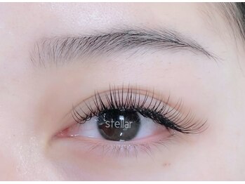 ステラァ(stellar)/フラットラッシュ　130本