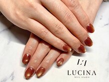 ネイルスタジオ ルキナ(LUCINA)/T-227 秋色マグネットネイル