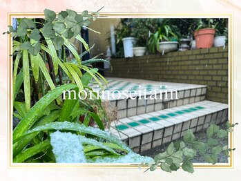 森の整体院/入口が森っぽい整体院！