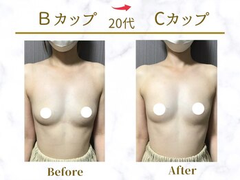 Ms.やまとなでしこ/ビフォーアフター