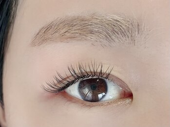 コアファイブ(koa5)/フラットラッシュ120本