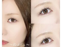 リアン(Re&Co.)/LEDフラットラッシュ120本