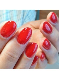 ワンカラー/上品レッド/tani