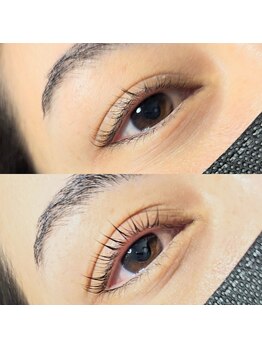 サーカス(circus)/ラッシュリフト根元立ち上げ