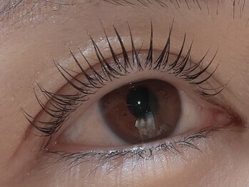 カラン 焼津店(CALIN)/ラスティングカール