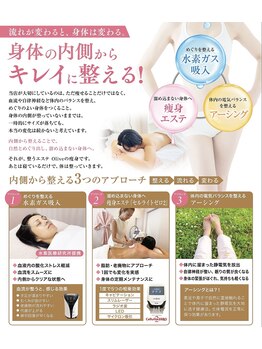 オリーブ(Olive)/