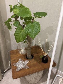 ヴィオラス(VIOLUS)/