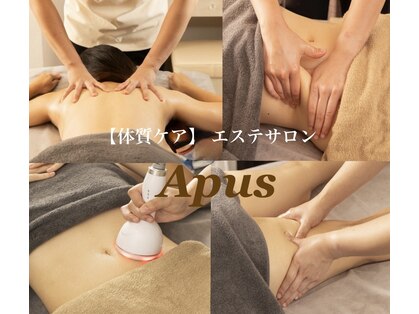 アプス(Apus)の写真
