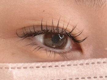 リアン(Lien)/エクステ120本