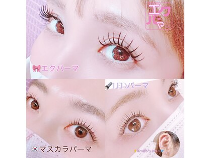 フェアリーラッシュ(fairy lash)の写真