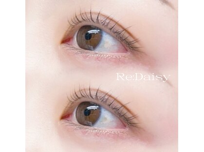 リデイジー(Re:Daisy)の写真