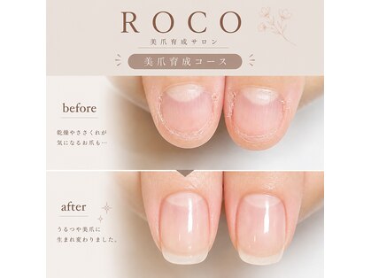 ロコ 清澄白河店(ROCO)の写真