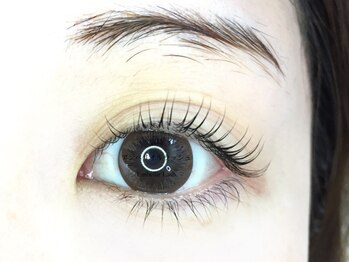 アンベリイルラッシュ(Embellir Lash)/パリジェンヌラッシュリフト
