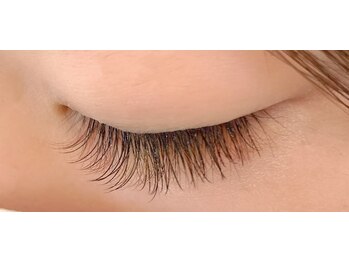 アンの家/ダークブラウン×夜桜