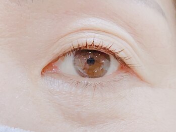 ティンク港南台 アイラッシュアンドネイル (Tink eyelash&nail)/パリジェンヌラッシュリフト