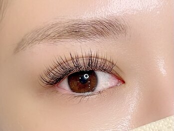 シル シェノン(cil shenon)/フラットラッシュ160本