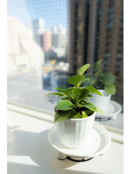 心斎橋長堀フェムテック整骨院/マタニティマッサージ