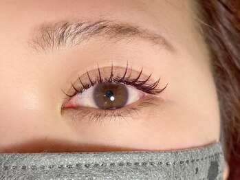 ロットネスト(ROTTNEST)/カラーエクステ