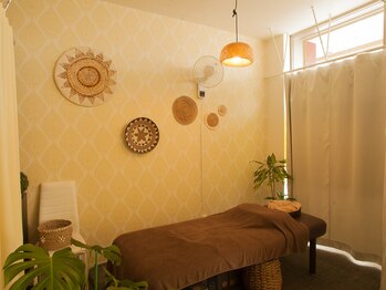 もみの木/緑が、心のデトックス。