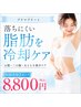 【結果追求型】2カップ~脂肪冷却×キャビテーション×脂肪分解剤導入