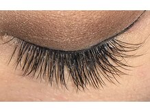 クインビー(Queen Bee)/【ボリュームプラス・100本】