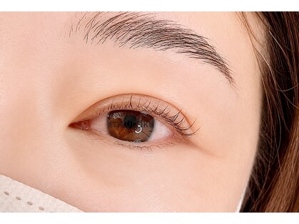 サクサク(sakusaku)の写真