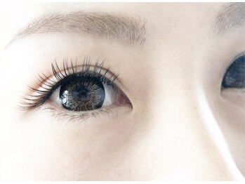 テイラー(Taylor)/フラットラッシュ180本 SONE