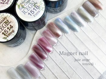 ネイルサロン ジョアアンジェ 天王寺店(joie ange)/マグネット　新色