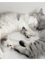 ウィルユー(will.u)&nbsp;猫2匹と暮らしてます^^