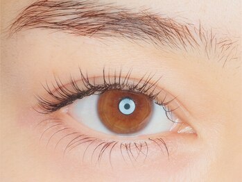 まつげエクステ専門店 ヴィーナスラッシュ 新宿店(Venus Lash)/【60本】マツエク