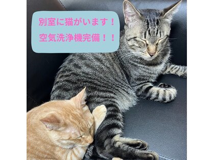 アトリエ ホミィの写真