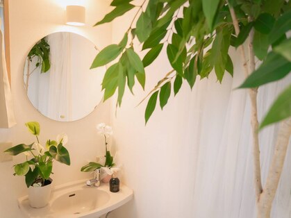 ココリーフ(CocoLeaf)の写真