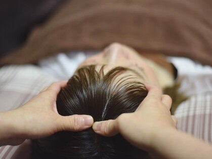 ツボミ(tubomi)の写真